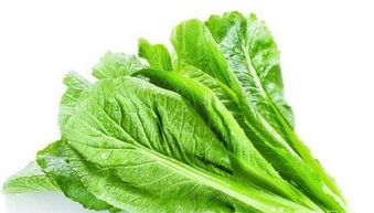 廣州大型蔬菜配送公司 專業(yè)批發(fā)水果農(nóng)副產(chǎn)品與食堂承包服務(wù)